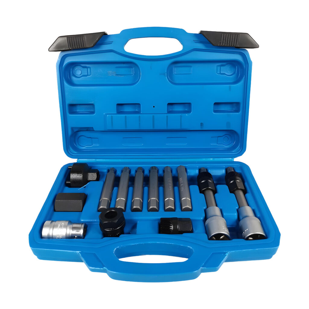 13PCS Alternator Pulley Removal Tool Kit | Freewheel Clutch Pulley Socket Set | Professional Alternator Decoupler Pulley Removal & Installation Tool Set with Carry Case